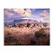 Stupell Industries Western Canyon Horse Stampede Canvas By Jack Sorenson